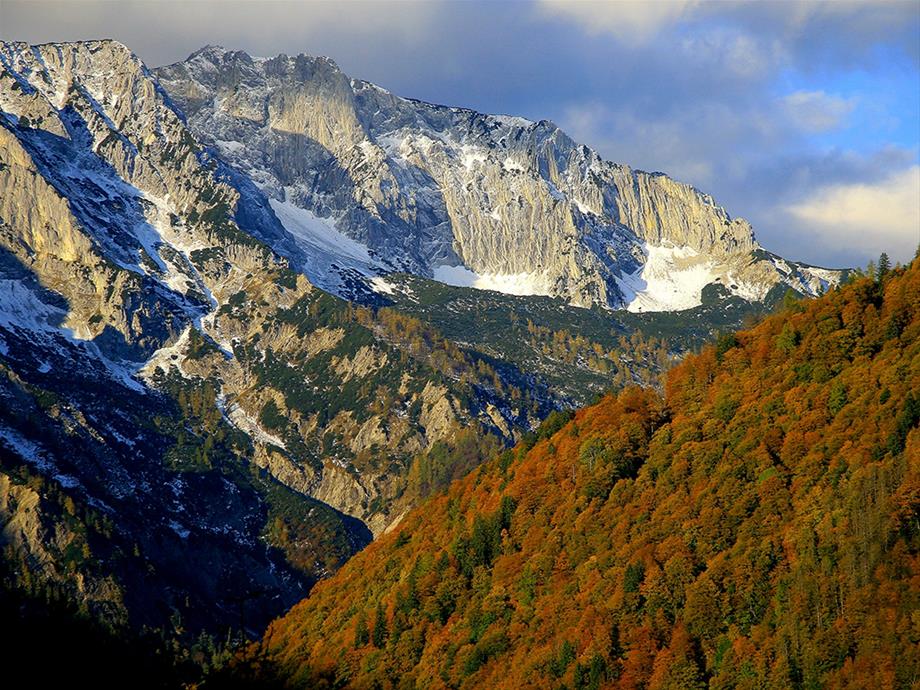 The mountains of the Sengsengebirge with the forest which is autumnal colored in the front