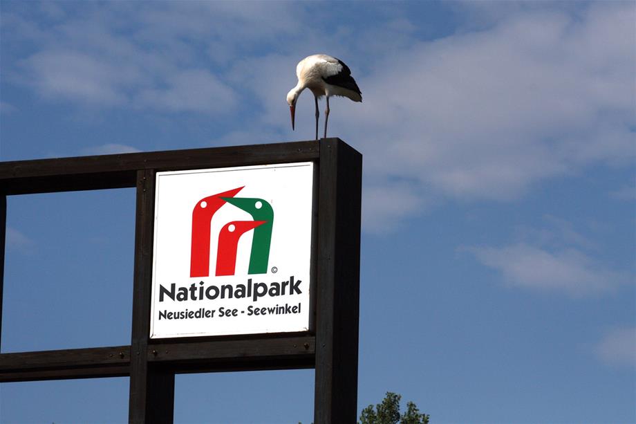 A White stork is standing on the logo of the Neusieldersee - Seewinkel National park