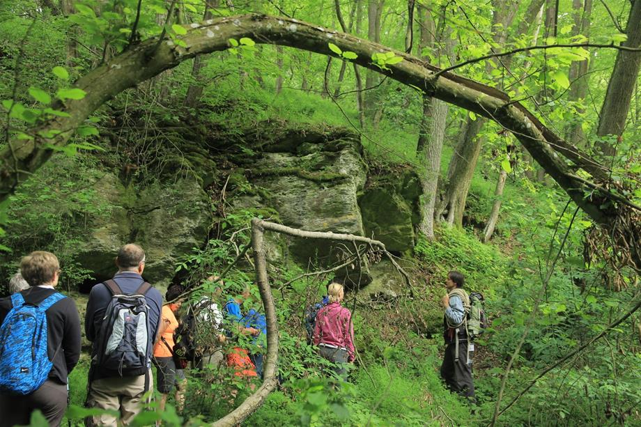 A group of visitors is following a ranger on a hiking trail through the forest. Behind the hikers is a big rock