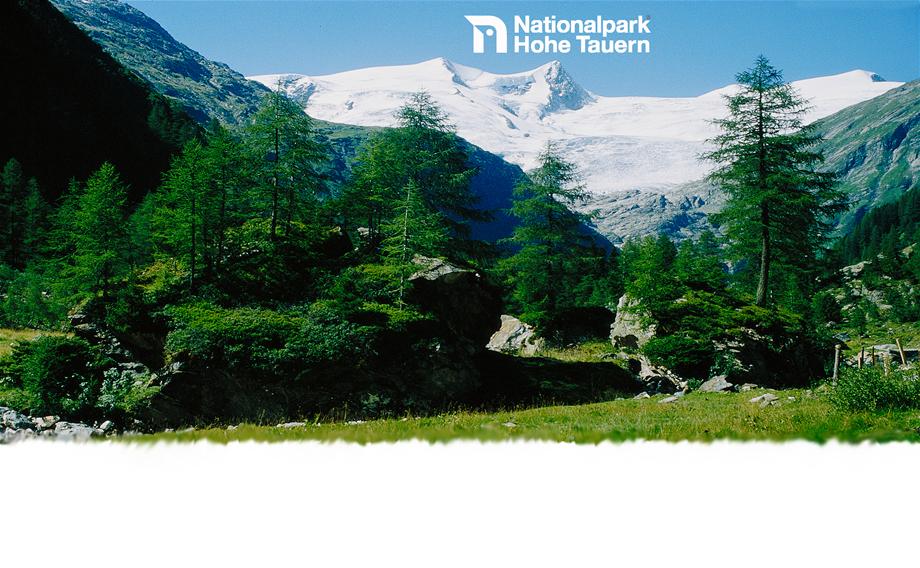 Der schönste Talschluss der Ostalpen wird das Innergschlöß auch genannt. (c) Nationalpark Hohe Tauern P.Gruber